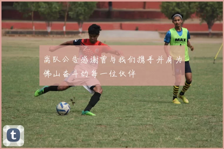 离队公告感谢曾与我们携手并肩为佛山奋斗的每一位伙伴